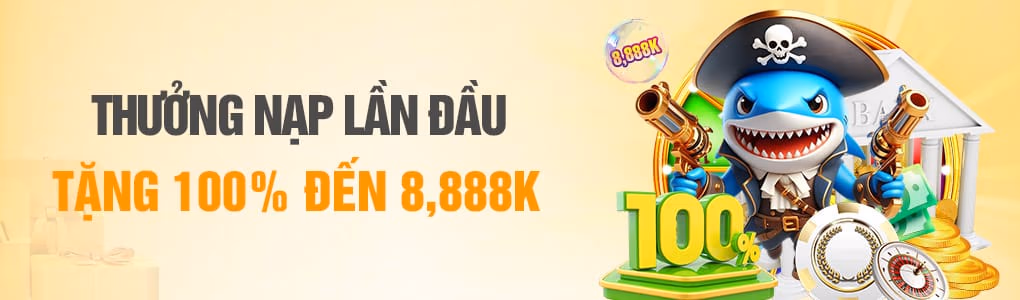 Chương trình hoàn trả từ RR8811